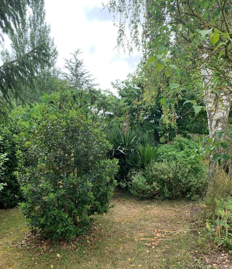 Maison D'Hotes La Chabanaise - Marais Poitevin Cramchaban Dış mekan fotoğraf